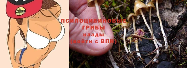 гашик Волосово