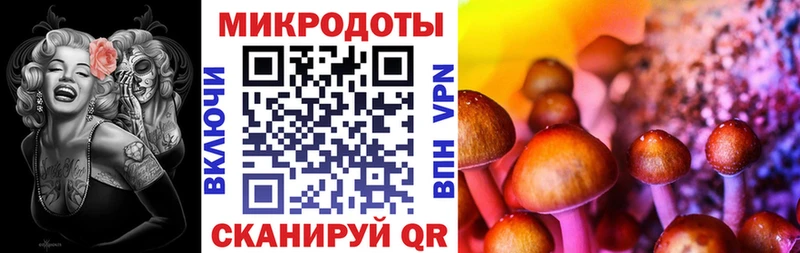 Псилоцибиновые грибы мухоморы  Купить закладки  Кувшиново 